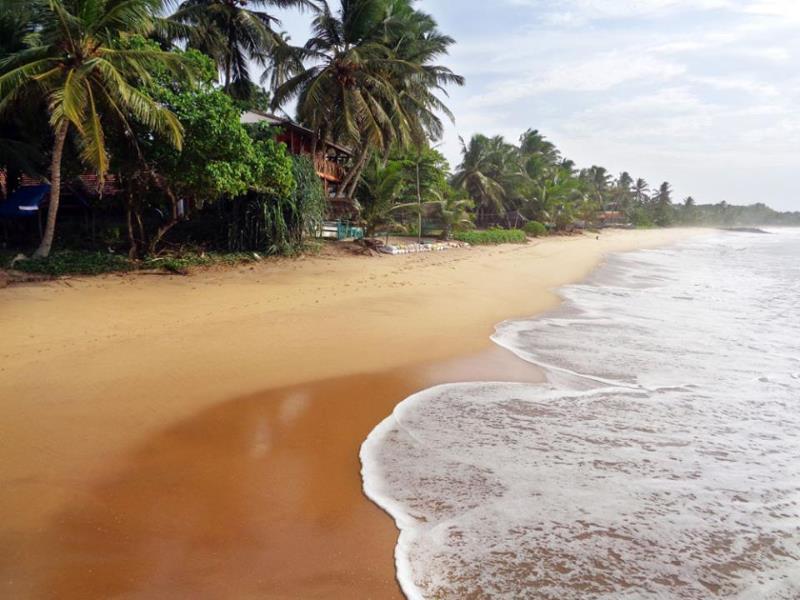 Reggae Zone Beach Resort Тангалле Екстер'єр фото