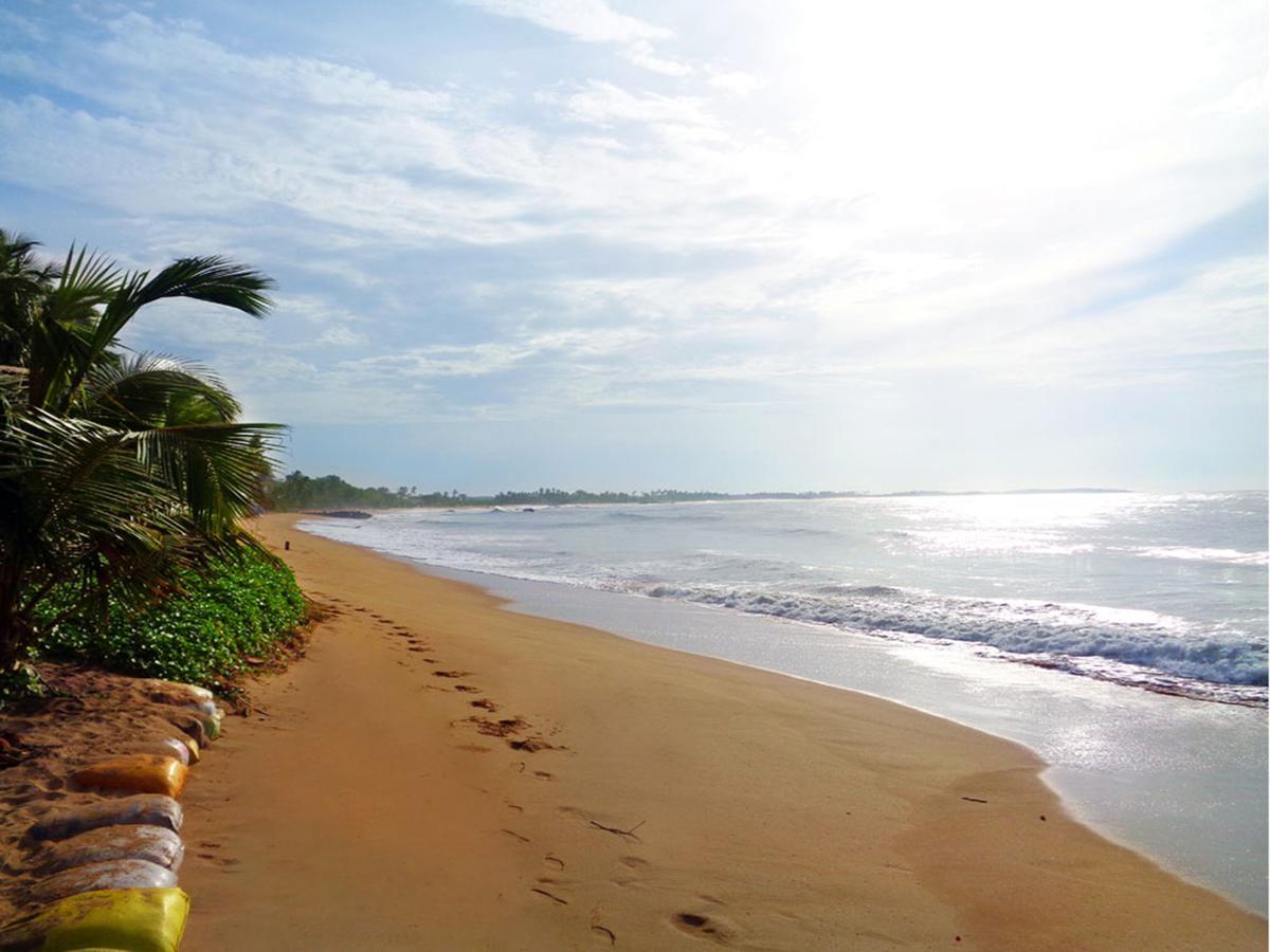 Reggae Zone Beach Resort Тангалле Екстер'єр фото