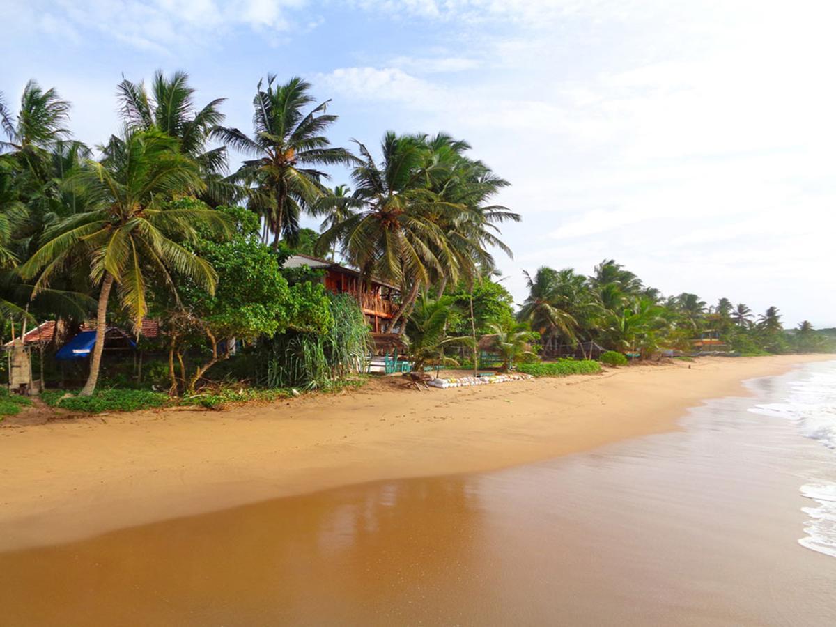 Reggae Zone Beach Resort Тангалле Екстер'єр фото